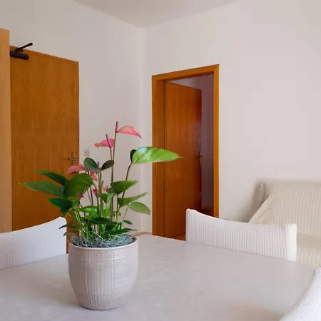 Apartment Tea Gradac (Split-Dalmatia)